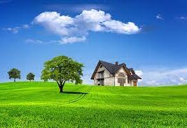 Arsa Nedir, Arsa Türleri Nelerdir?