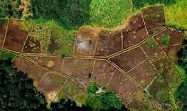 Arsanın Yüzde Kaçına Ev Yapılabilir?