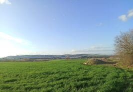 Bursa Mustafakemalpaşa Tatkavaklı’da 1333m² Satılık Tarla