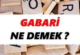 Gabari Nedir?