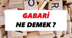 Gabari Nedir?