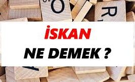 İskan Nedir?