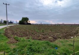 Bursa Mustafakemalpaşa Orta Mahalle’de 3579m2 Satılık Arazi